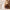 DZ U45 "Oud for Glory" Extrait de Parfum — Duftprofil und Duftnoten