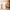 DZ U48 "Hibiscus Royal" Extrait de Parfum — Duftprofil und Duftnoten