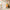 DZ W84 "My Route" Extrait de Parfum — Duftprofil und Duftnoten