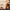 DZ W98 "Good Lady" Extrait de Parfum — Duftprofil und Duftnoten