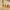 Ramadan Bundle 3×50 ml - Dupez-Paris
